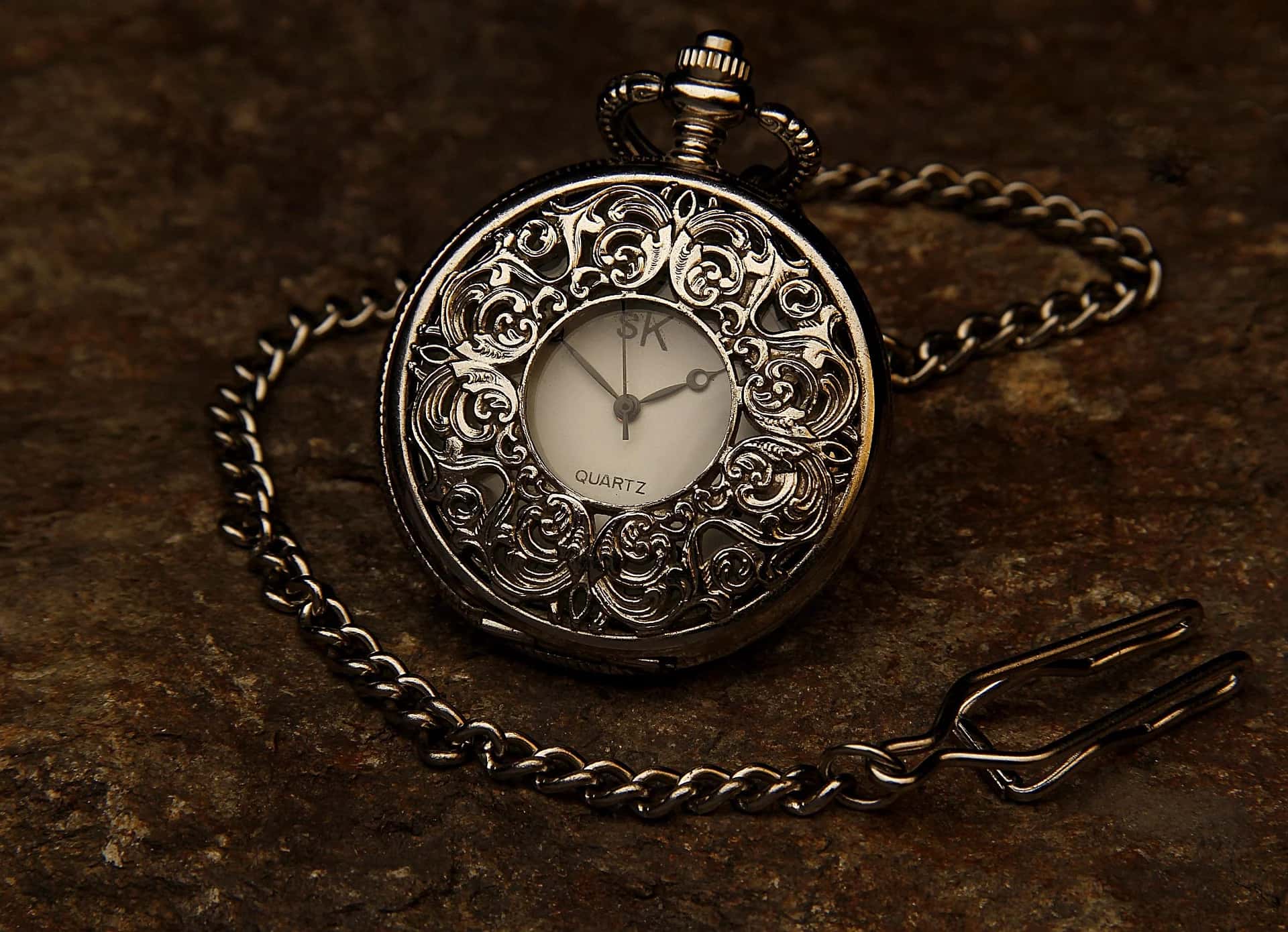 Stainless Steel Analog Wristwatch