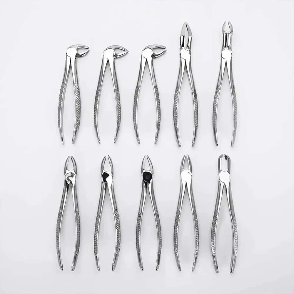 Dental Extracting Forceps Set 10 Pieces - Professional Instruments for Dentists