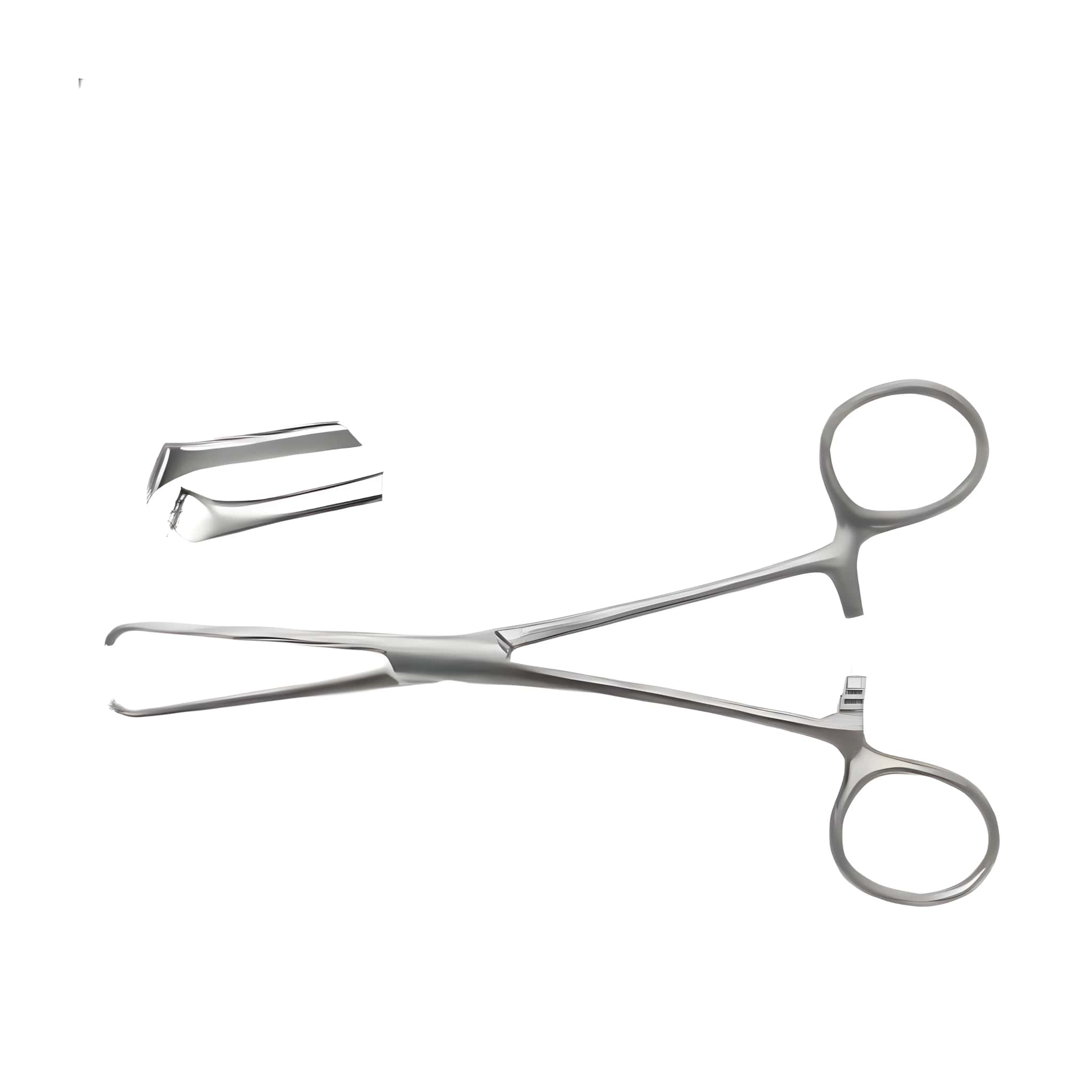 Allis Tissue Forcep Stainless Steel 6-inch