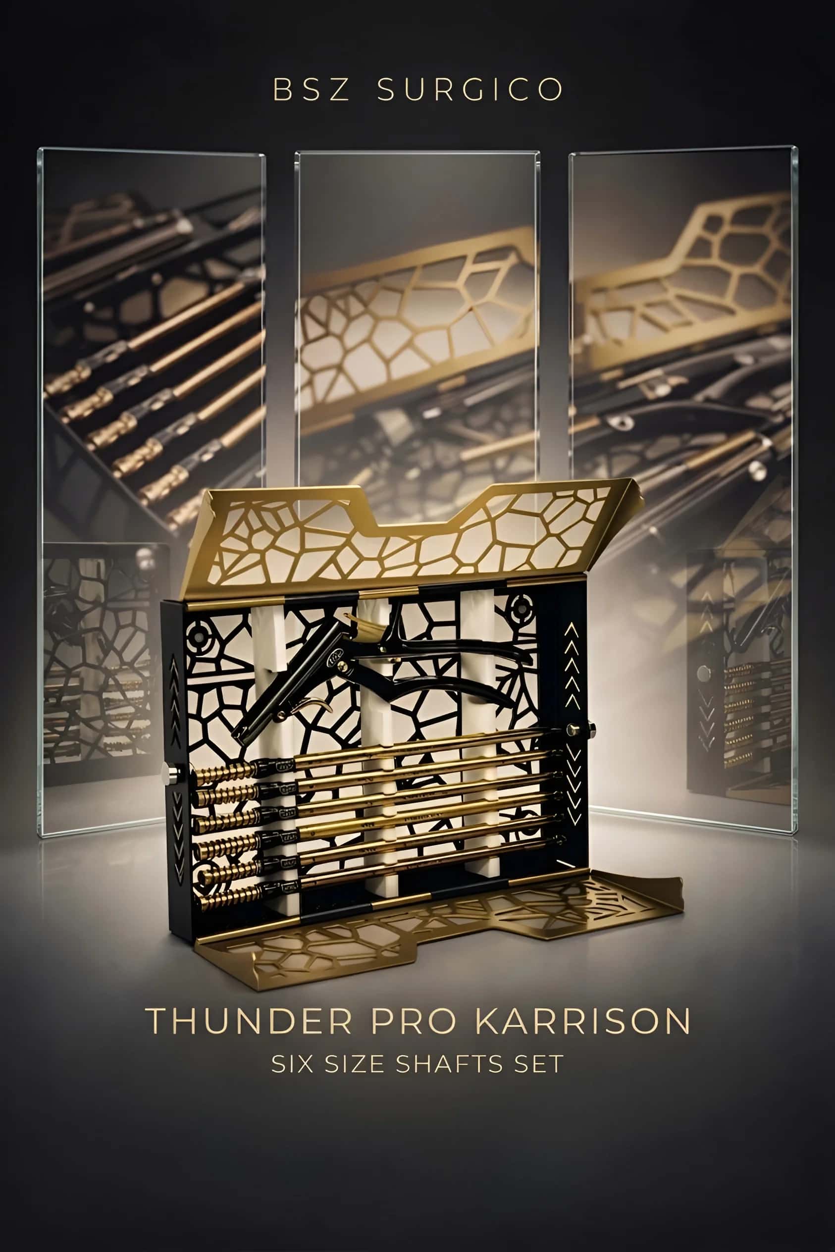 BSZ Surgico Thunder Pro Kerrison Rongeur Set | 6 Interchangeable Shafts | Black-and-Gold Handle & Fitted Storage Case
