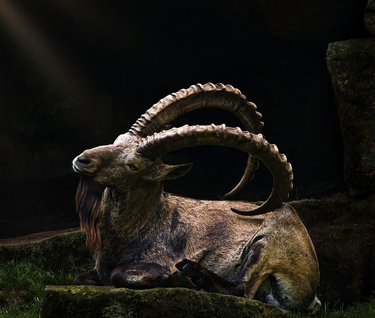 What is Big Game Hunting