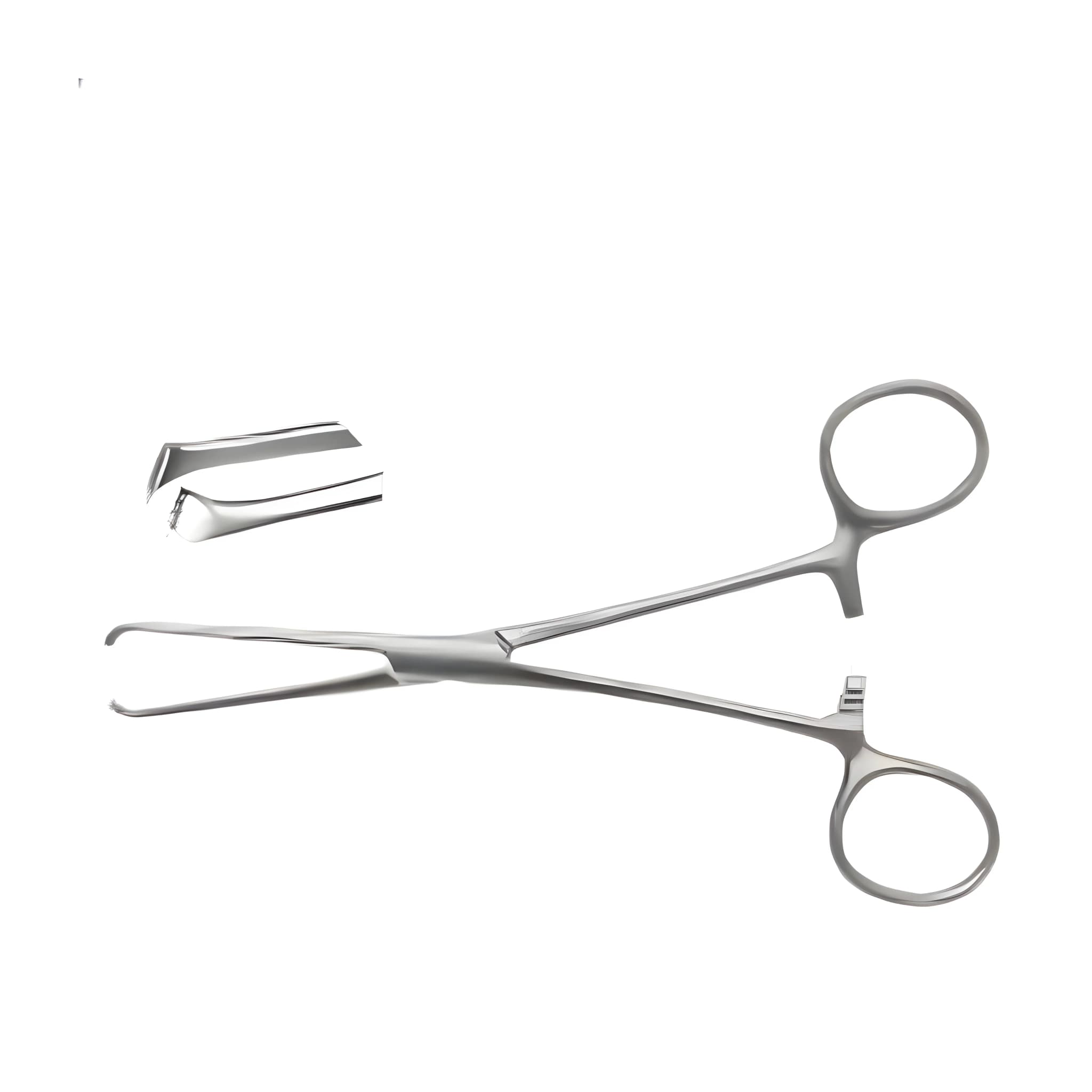 Allis Tissue Forcep Stainless Steel 6-inch - thumbnail 1