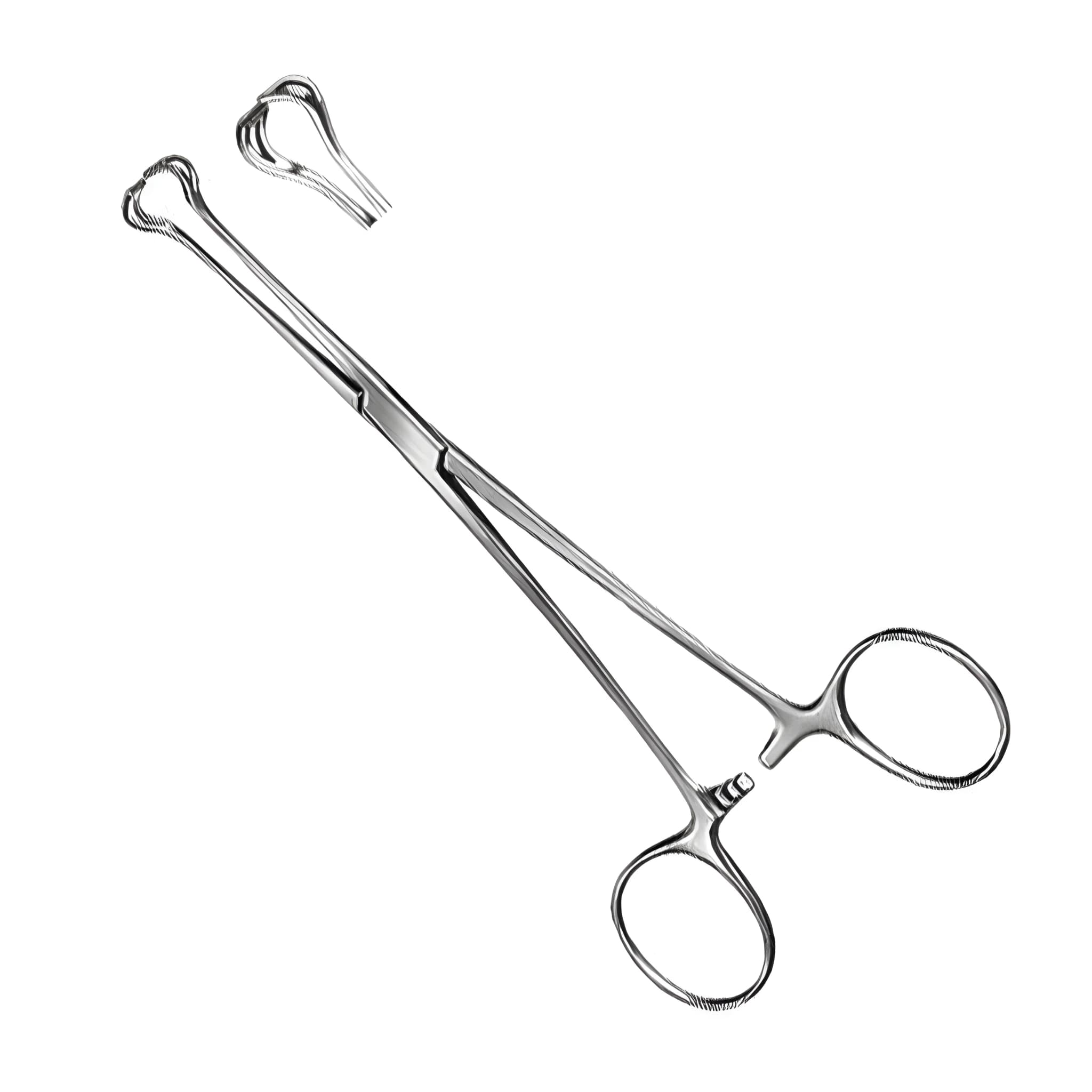 Babcock Tissue Forcep Stainless Steel 6.5 Inch - thumbnail 1