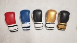 Boxco Impex 4 oz Artificial Leather Boxing Gloves – Padded Training Gloves Sold as a Pair