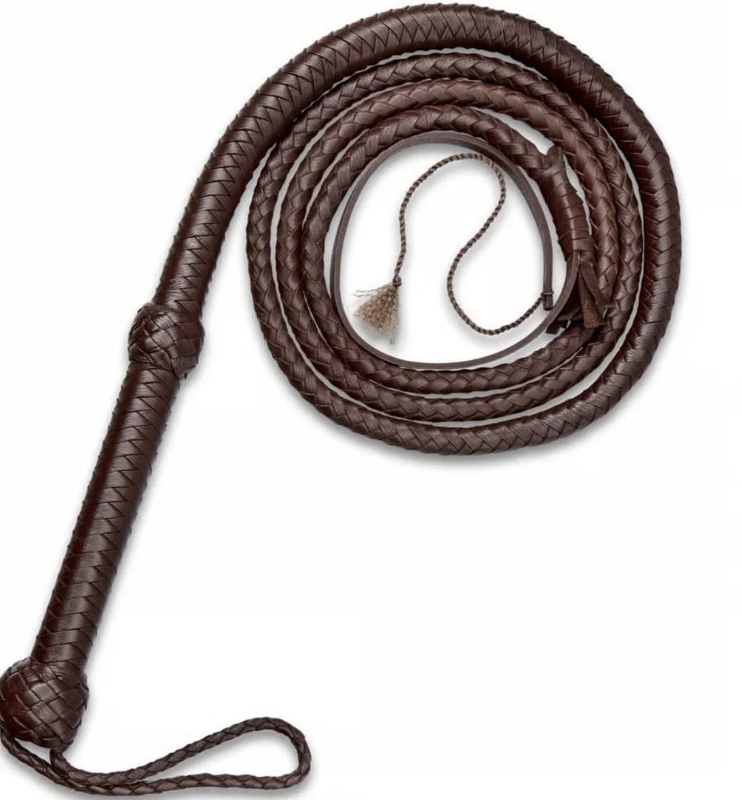 Brown braided whip