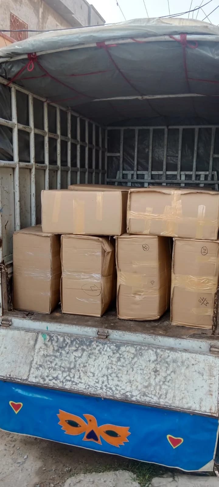 Carton-packed shipment