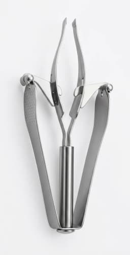Stainless Steel Angled Eyebrow Tweezers with Spring-Style Handle and Textured Grip