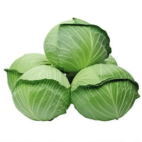 Green cabbage