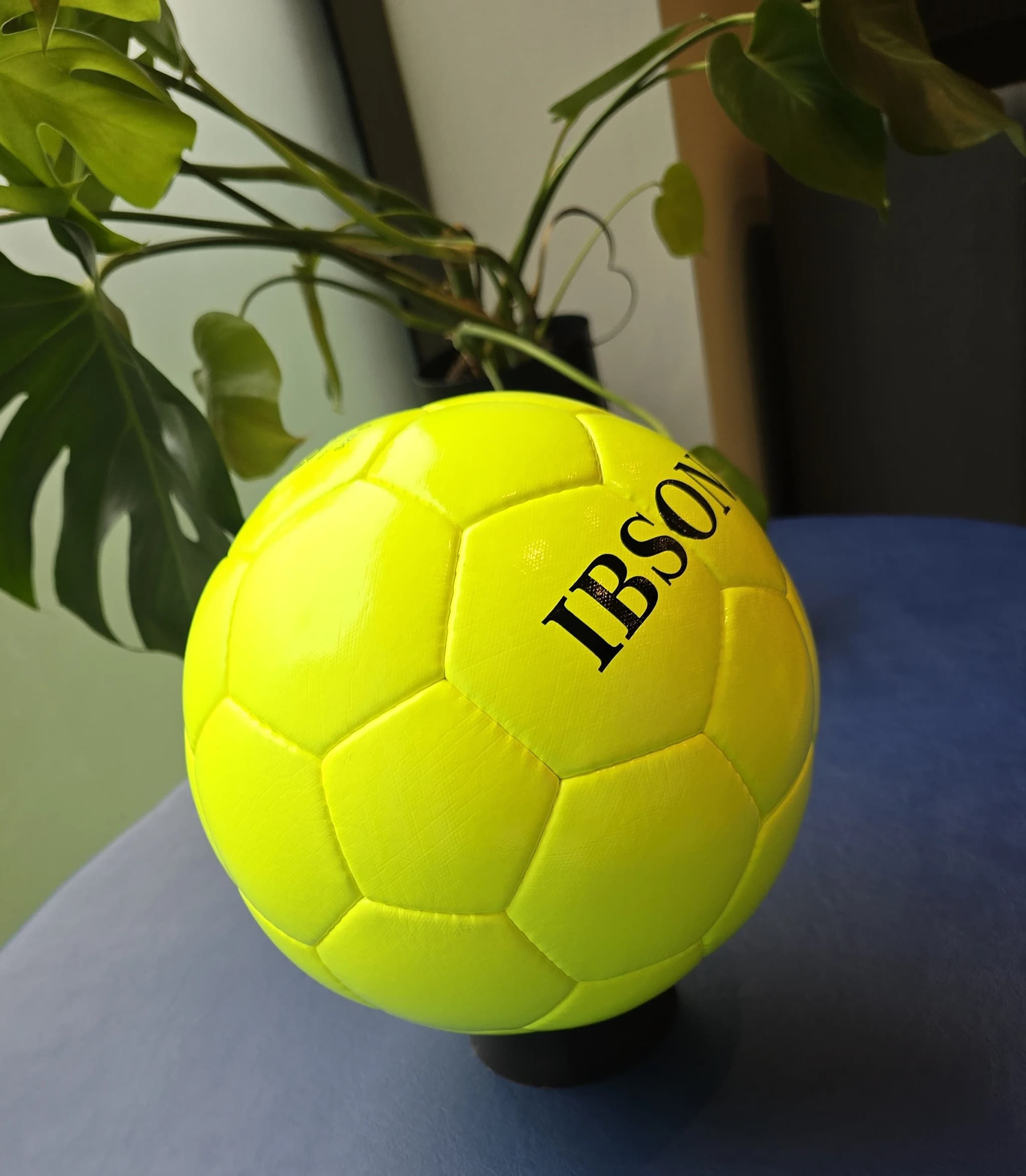 Soccer ball