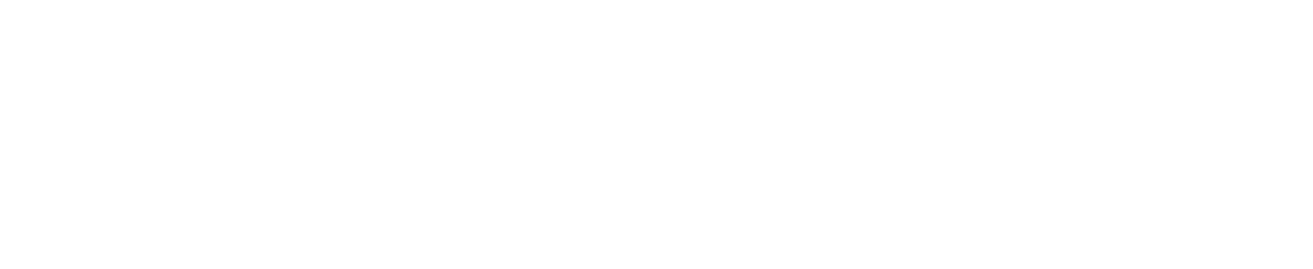 Baramdat Exporter logo