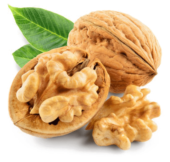shakeeb premium dry fruits logo