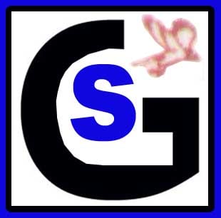 www.greatsplendidsurgical.com logo