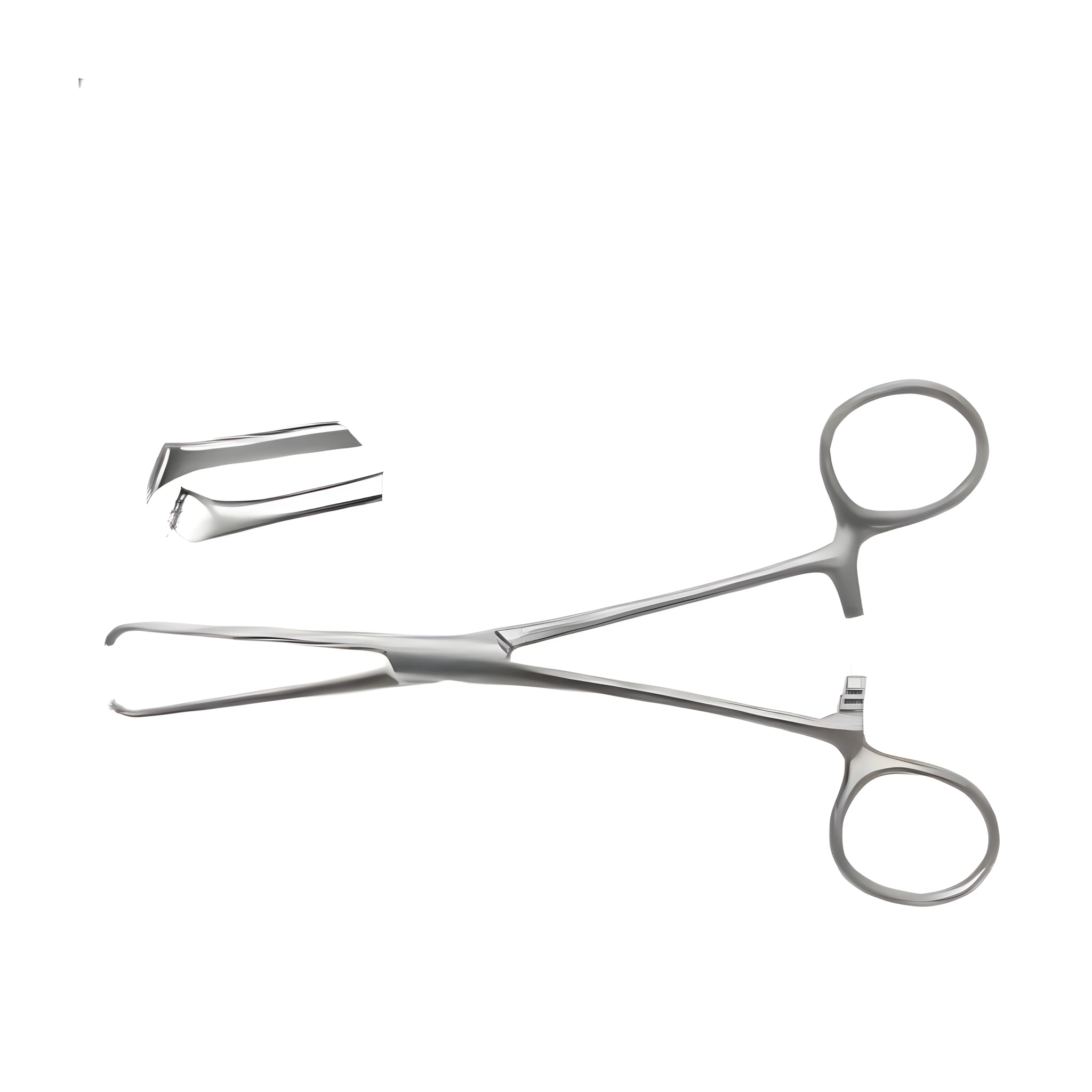 Allis Tissue Forcep Stainless Steel 6-inch - image 1