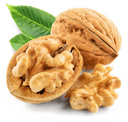 shakeeb premium dry fruits