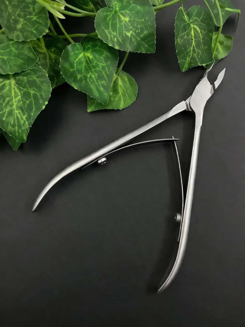 Nail nipper