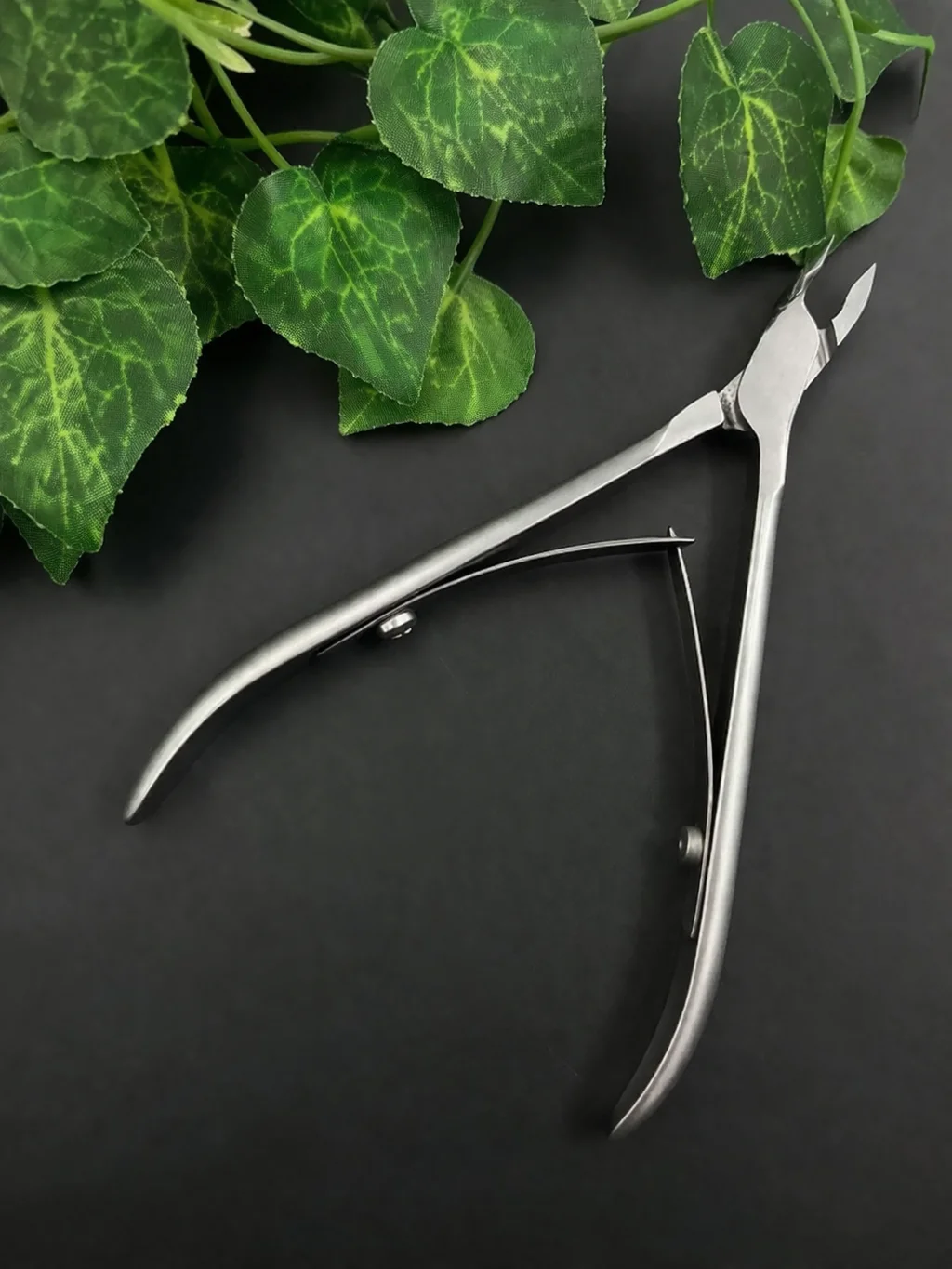 Nail nipper