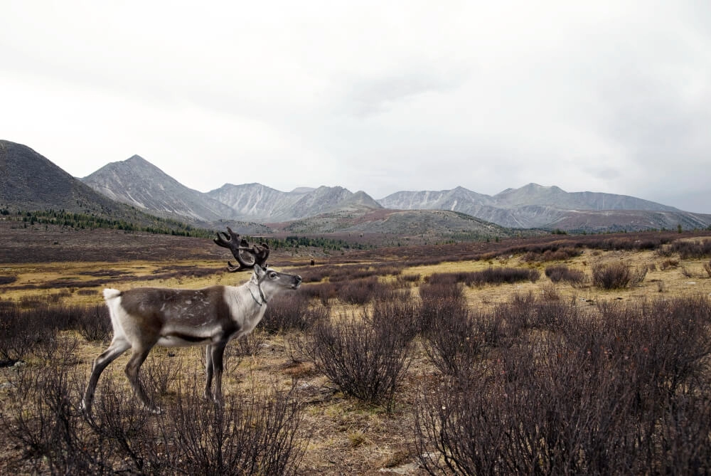 Best Public Hunting Places on Earth