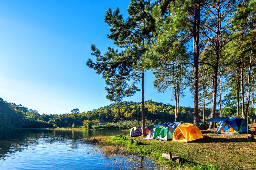 Forest Lake Fishing and Camping