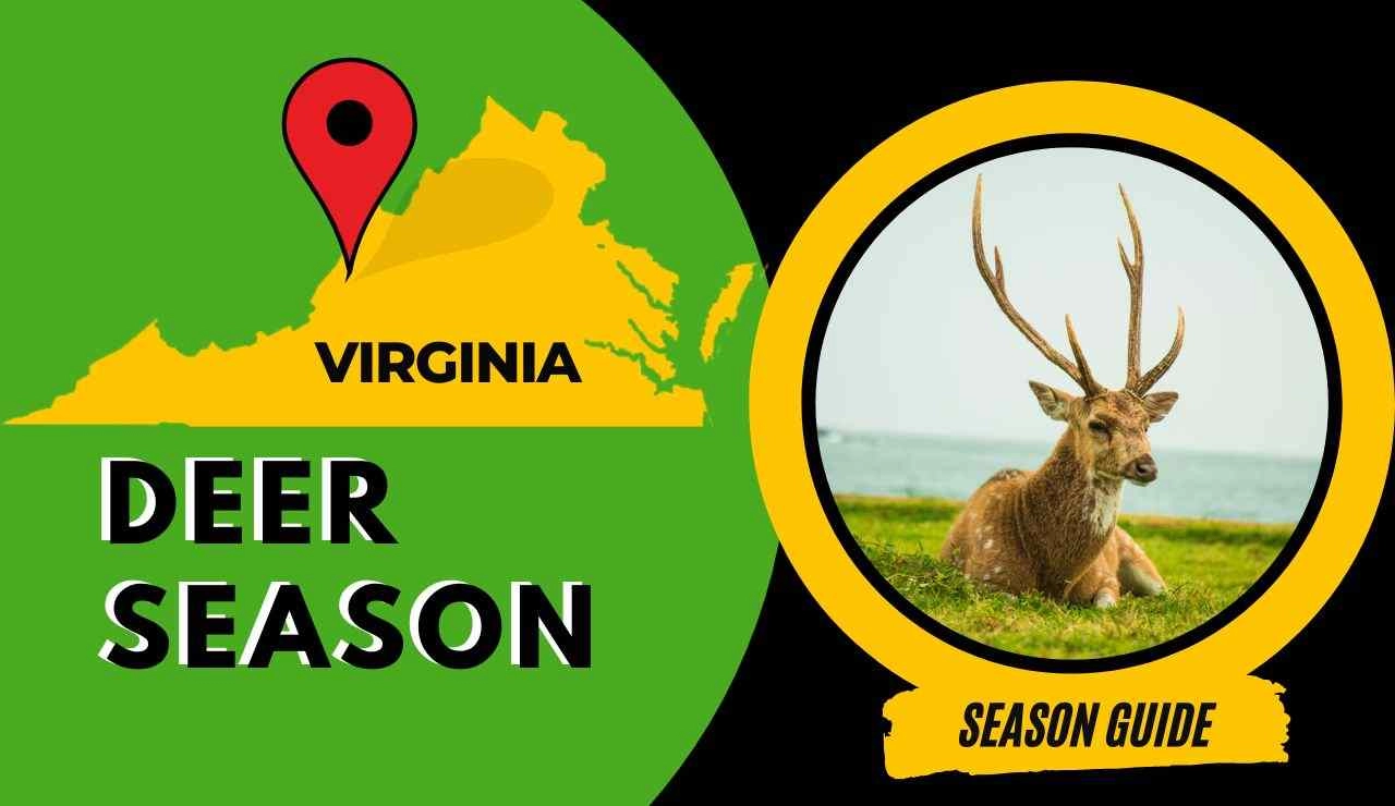 Virginia Deer Hunting Season 2023